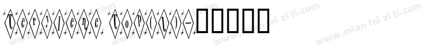 Terylene Top(1)字体转换